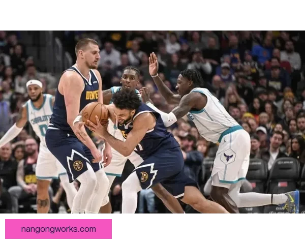 掘金约基奇季后赛助攻率中锋历史地位全面对比分析